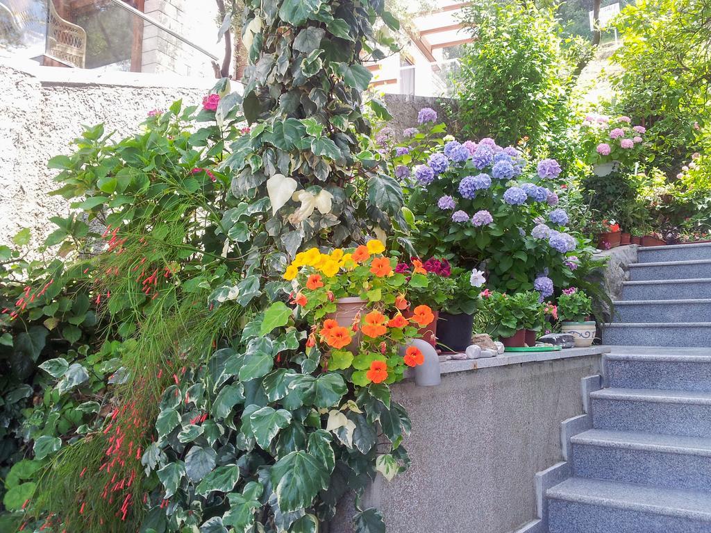 Panorama Apartments ブドヴァ エクステリア 写真